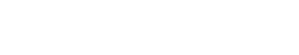 Programing Languages